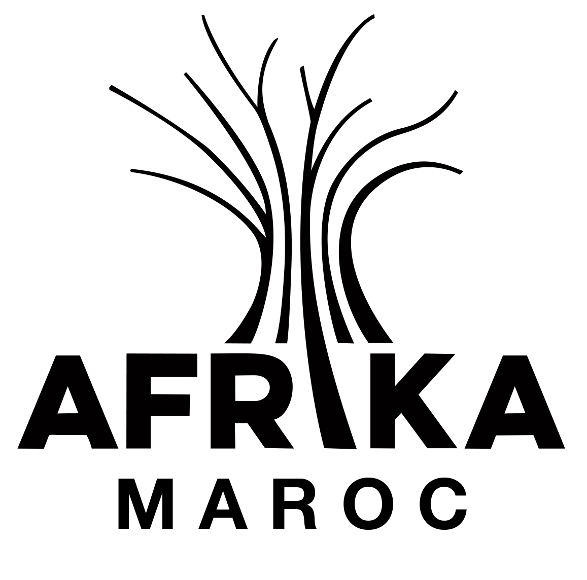 Socio-economic development project based in Zaouia El Abassia, a district located in a popular area in the northern part of the medina of Marrakech.